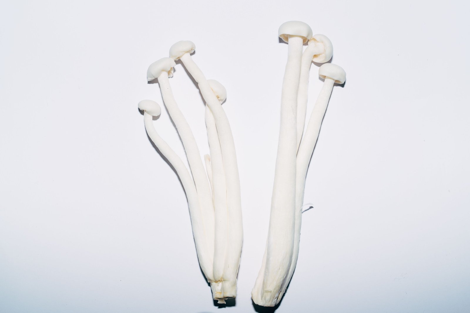 Hongos enoki frescos, el producto afectado por la alerta de Listeria